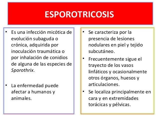 Micosis Subcutaneas Ebook